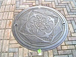 Manhole_1