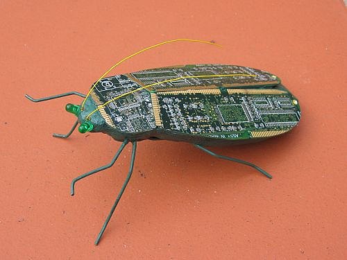 computer-bug-3.jpg