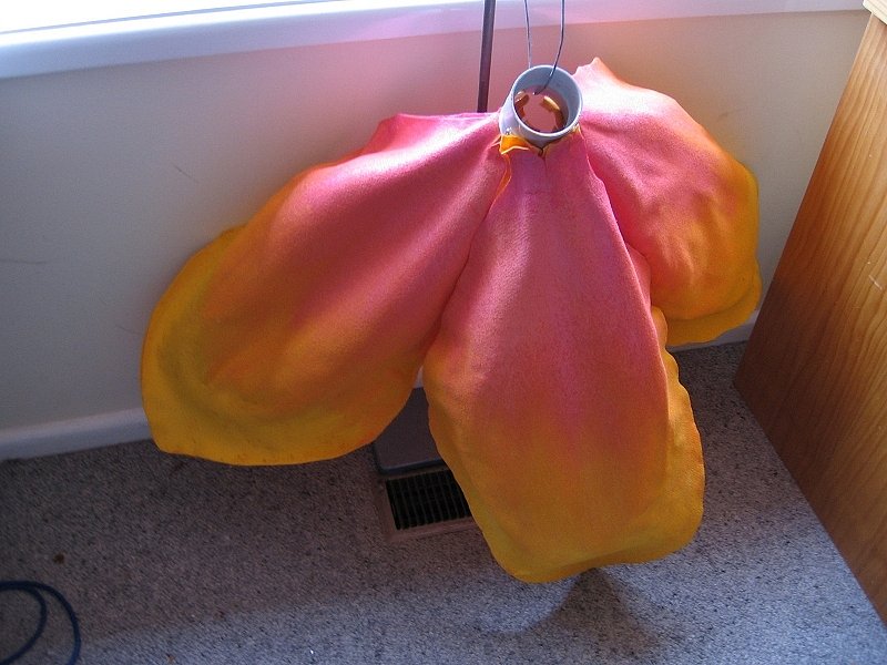 petals-drying-over-the-heater.jpg