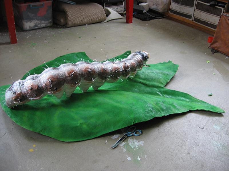 giant-helicoverpa-caterpillar-and-leaf-18.jpg
