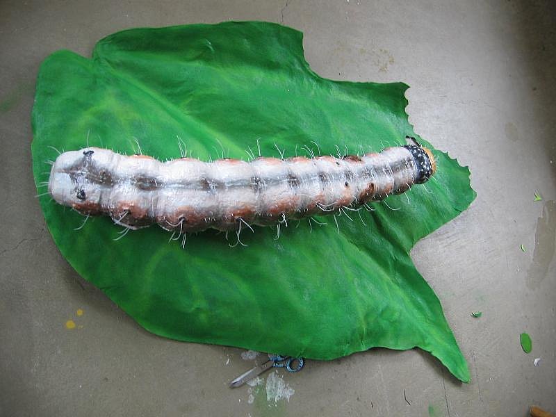 giant-helicoverpa-caterpillar-and-leaf-19.jpg