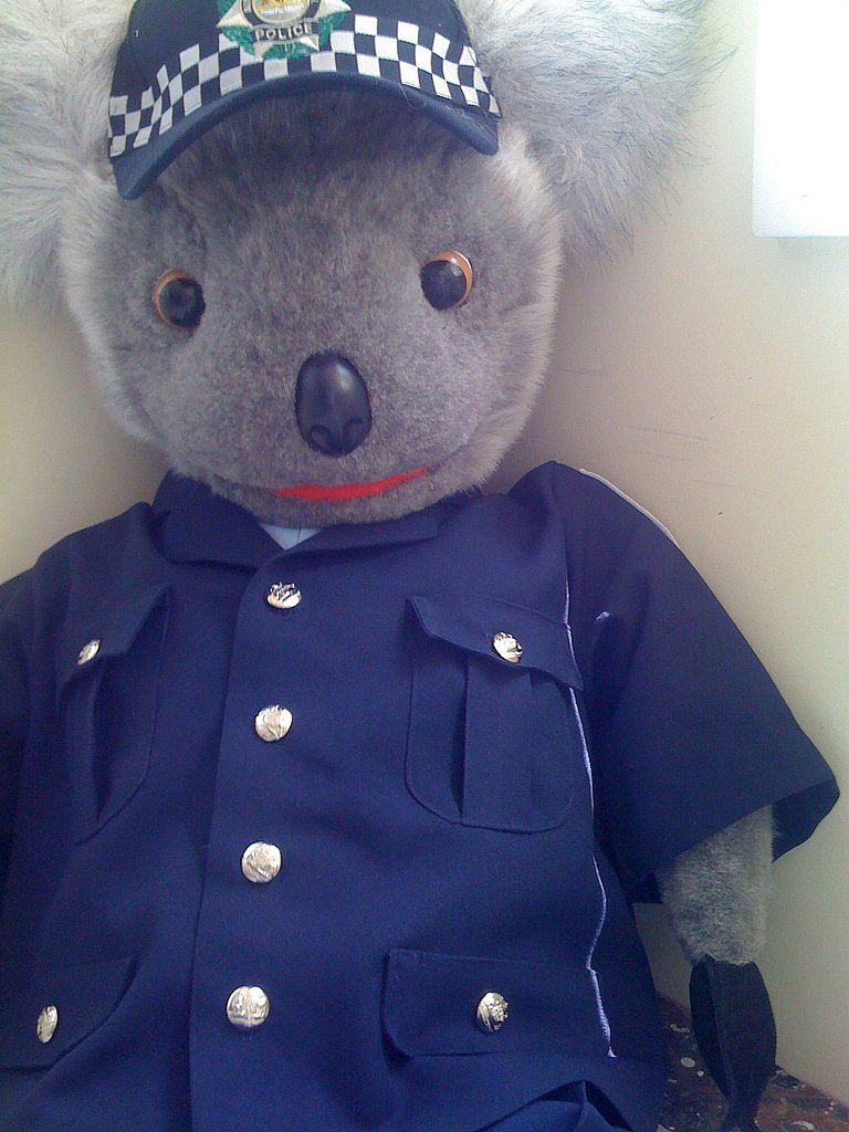 Kenny Koala 2001-11