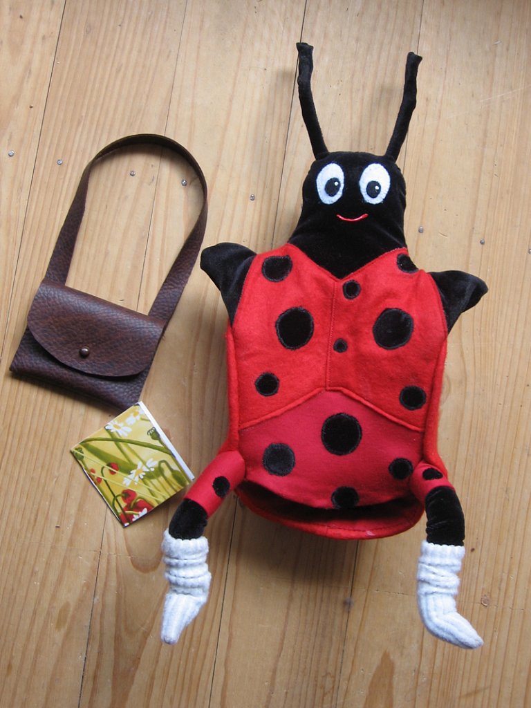 Ladybird glove puppet
