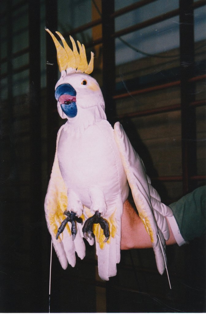 Cockatoo glove puppet