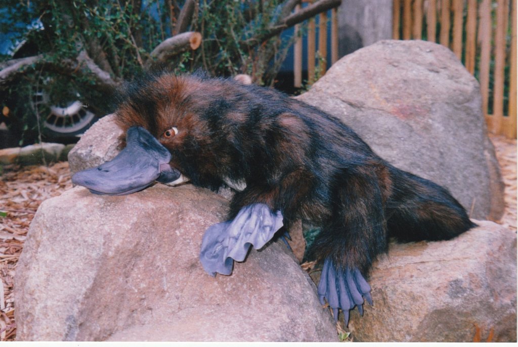 Platypus glove puppet