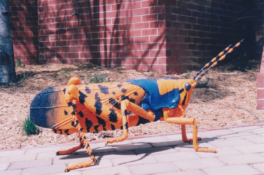 Leichhardt's Grasshopper model