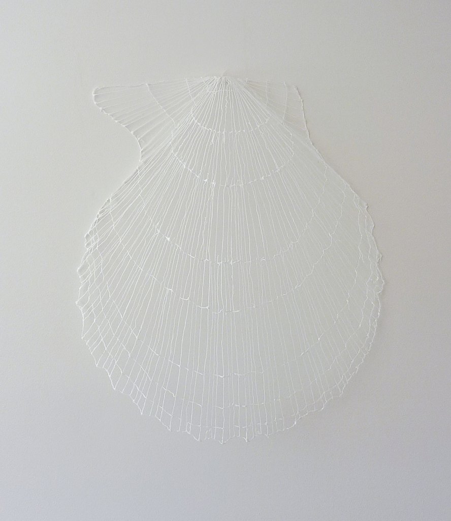 Scallop shell (Tracery)    