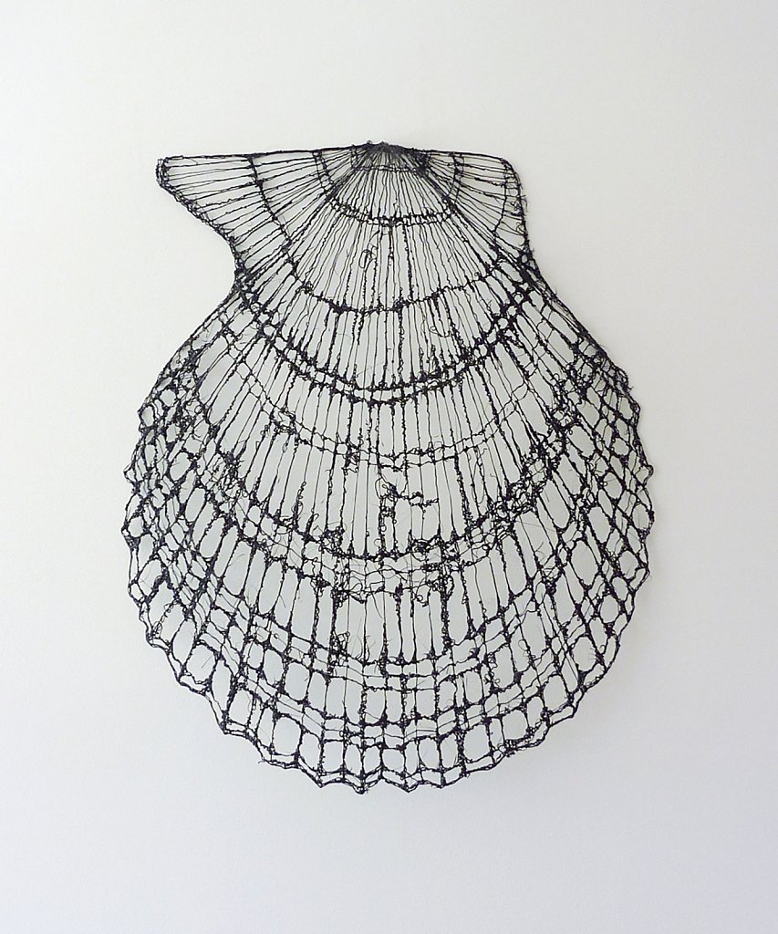 Scallop Shell (Ripple Effects) No.1   