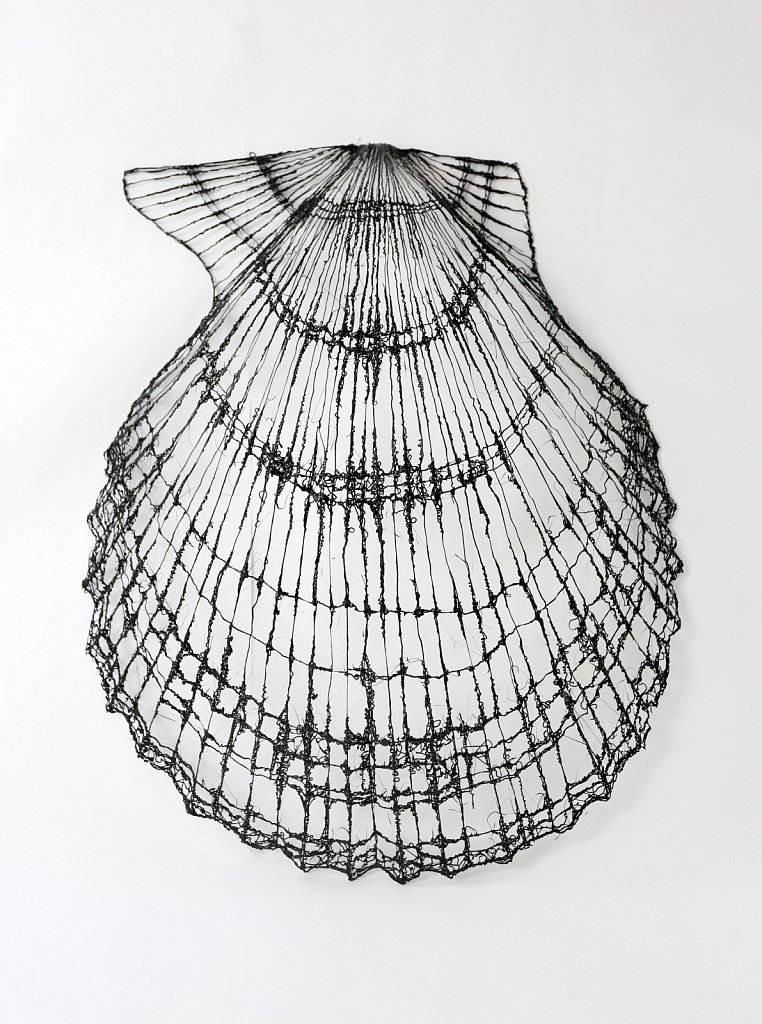 Scallop Shell (Ripple Effects) No.2   