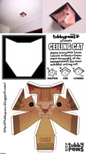 ceilingcat