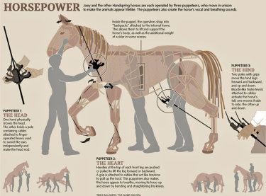 Horsepower: the War Horse puppets and puppeteers infographic by Trish Mcalaster / The Globe and Mail